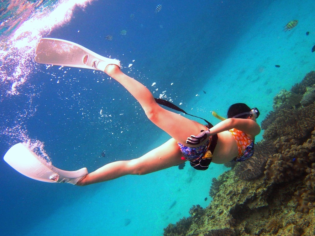 スキンダイビングで水中世界を自由に潜ってみませんか？